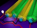 Power Shirt - Harvesting Energy from Movement