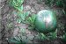 DuPont Offers Real Solutions to Climate Change