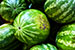 Watermelon Power, The Latest Renewable Energy Source