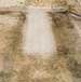 EcoFriendly Carpet Cleans Up In Rhino Challenge