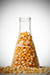 Production of Biofuels Could Increase the Carbon Emissions They Are Supposed to Reduce