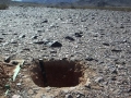 Disruption of Desert Soil Surface Results in Wind Erosion of Nitrate-Rich Soil