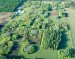 Can Forests Regenerate after Harvesting under Climate Change Conditions
