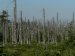 Chemicals Used to Protect the Ozone Layer May be Responsible for Acid Rain