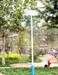 GS-TY34 Solar Garden Lights from Greenshine New Energy