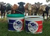 Reprocessed Polypropylene Used to Make Animal Feed Pails