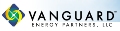 Vanguard Assists Pegasus Products to Produce More Electricity