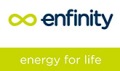 Trina Solar Subsidiary Partners with Enfinity on Solar Modules