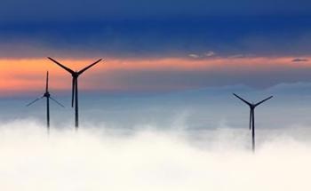 Many Countries Drive Biodiversity Loss Overseas Due to Demand for Electric Power