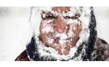 Statistical Learning Techniques Help Extract Climate Change Fingerprint