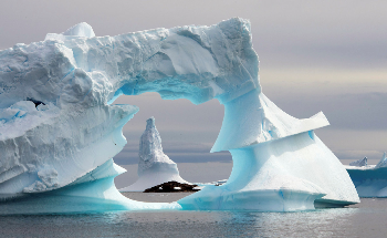 Exodus Travels Commits to Fight Climate Change