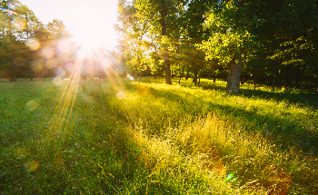 Addressing Global Warming Using Sunlight and New Nanoparticles