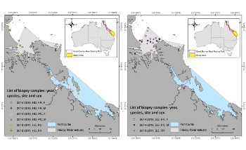 Great Barrier Reef Water Pollution Threatens Dolphins