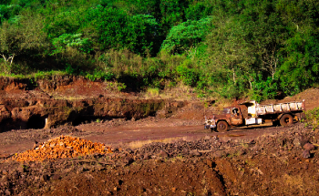 Study Reveals Impact of Growing Tropical Land Use on Global Carbon Cycle