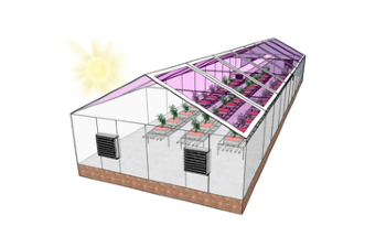Transparent Solar Panels can Help Greenhouses Turn Energy Neutral
