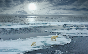 January 2020 was the Hottest January Since Records Began