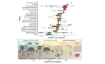 Study Shows Increases in Aridity May Produce Abrupt Changes in Ecosystems