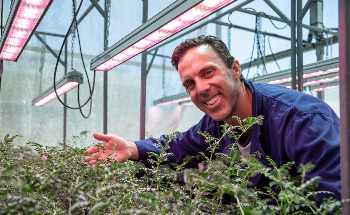 New Technology to Speed Up the Development of More Resilient Crops