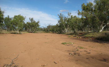 Understanding Flow is the Key to River Health