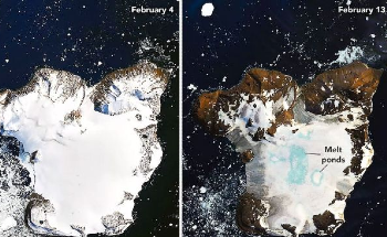 A Heat Wave in Antarctica Has Melted 20% of an Island’s Snow in 9 Days