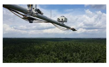 Scientists Examine the Effect of Palm-Oil Biodiesel on Greenhouse Gas Emissions