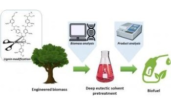 Clean Biofuel Produced Using Genetic Engineering, Eco-Friendly Solvents