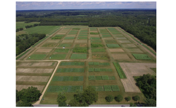 Study Tests Global Warming Mitigation Capacity of Biofuels from Various Crops