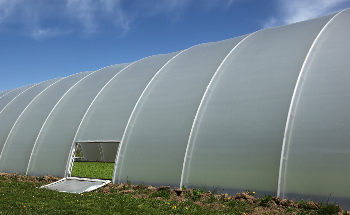 SuperFOIL Doesn’t Leave ‘Mushroom’ for Improvement with Recycled Plastic Insulation