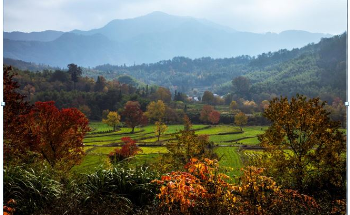 Carbon-Storing Potential of Global Soils for Climate Mitigation