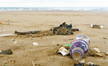 Single-use Plastics to be Banned in Wales from 2021