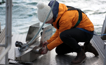 Climate Change and Human Influence Perturb Marine Ecosystems