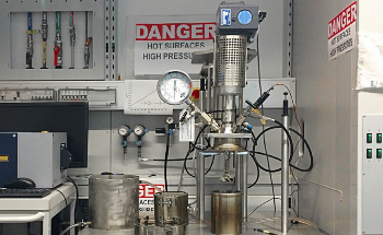 Hydrothermal Synthetic Processes Alternatives to Produce Organic Plastics