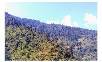 Species Shifting Upslope Under Climate Change May Find Intact Habitats