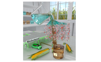 MOF can Efficiently Separate Biobutanol from Fermented Biomass