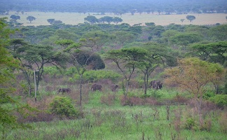 Lack of Land for Biodiversity Offsetting Could Hinder Conservation Goals