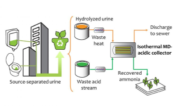 New Membrane-Based Technique to Recover Ammonia from Urine
