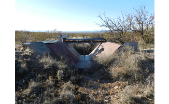 Study Finds Vegetation Changes can Outweigh Climate Change