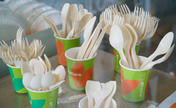 Researchers Develop Faster, More Efficient Process to Recycle Bioplastics