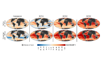 Deep-Sea Biodiversity Likely to be at Greater Risk Due to Climate Change