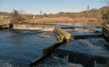 Weir Crowdfunding for Fish and Renewable Energy #WorldEnvironmentDay