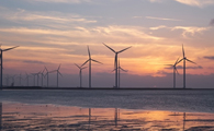 Offshore Wind Farm in Maryland can Become a Stop-Over for Migrating Fish