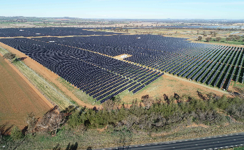 Sydney Flicks the Switch to 100% Green Power