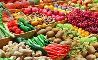 Researchers Investigate Alternative Protein Sources in Food Production