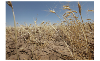 Texas to have Drier Summers for Rest of 21st Century