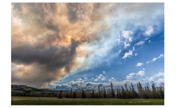 Light-Absorbing Aerosols in Wildfire Smoke Could Impact Climate Less