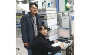 New Technology to Mass-Produce Aviation-Grade Fuels from Wood Wastes