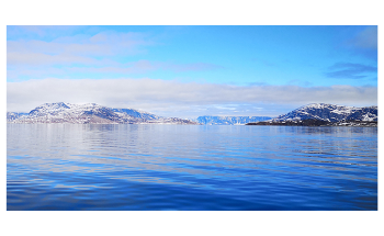 High Concentrations of Microplastics can Impact the Marine Food Web