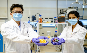 Researchers Develop Eco-Friendly Method to Recycle Spent Lithium-Ion Batteries