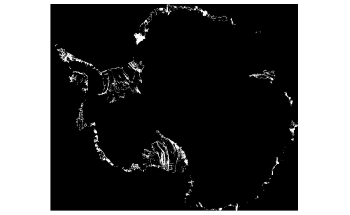 Study Shows Rising Temperatures can Impact Coastal Ice Shelves in Antarctica