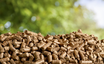 New Lactate Platform Uses Microorganisms to Turn Biomass into Chemicals